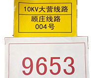 三鄉(xiāng)鎮(zhèn)A4標(biāo)簽打印機(jī),210*297mm標(biāo)簽打印解決方案